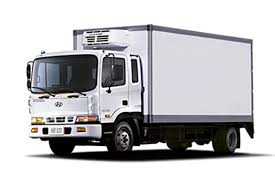 Hyundai HD120 2020